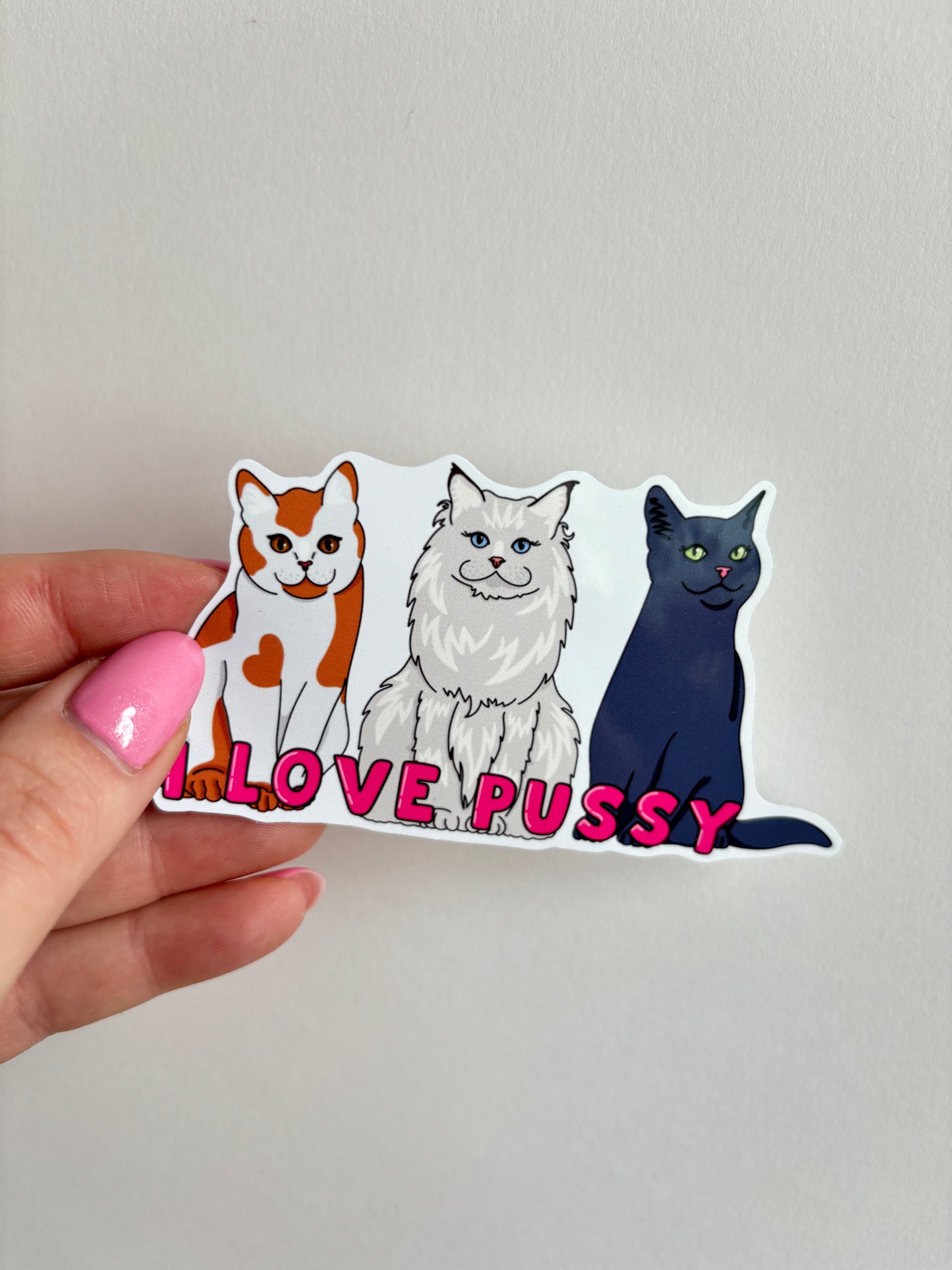 I Love Pussy Sticker