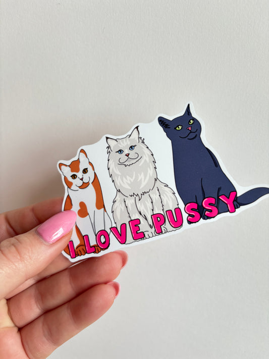 I Love Pussy Sticker