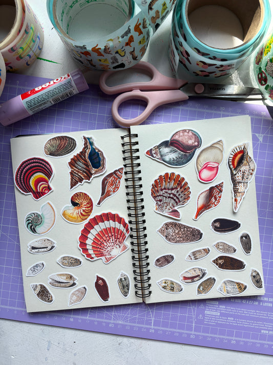Shell Sticker Pack