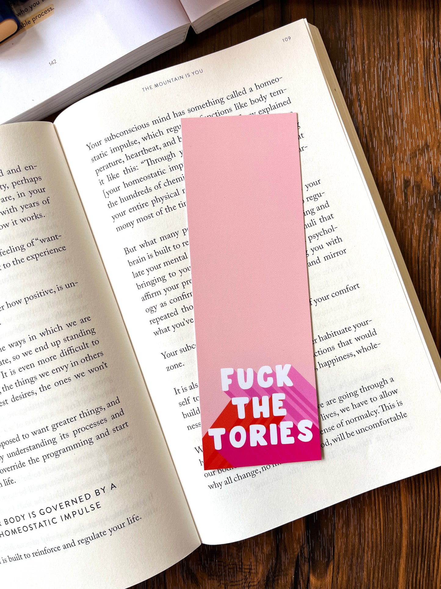 Fuck the Tories Tassel Bookmark
